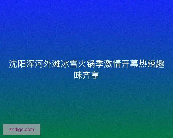 沈阳浑河外滩冰雪火锅季激情开幕热辣趣味齐享