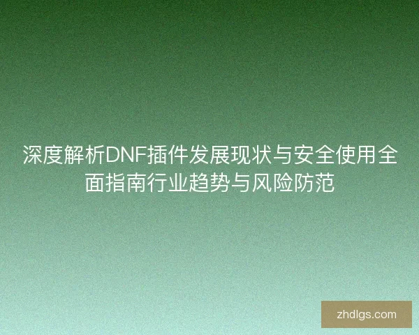 深度解析DNF插件发展现状与安全使用全面指南行业趋势与风险防范